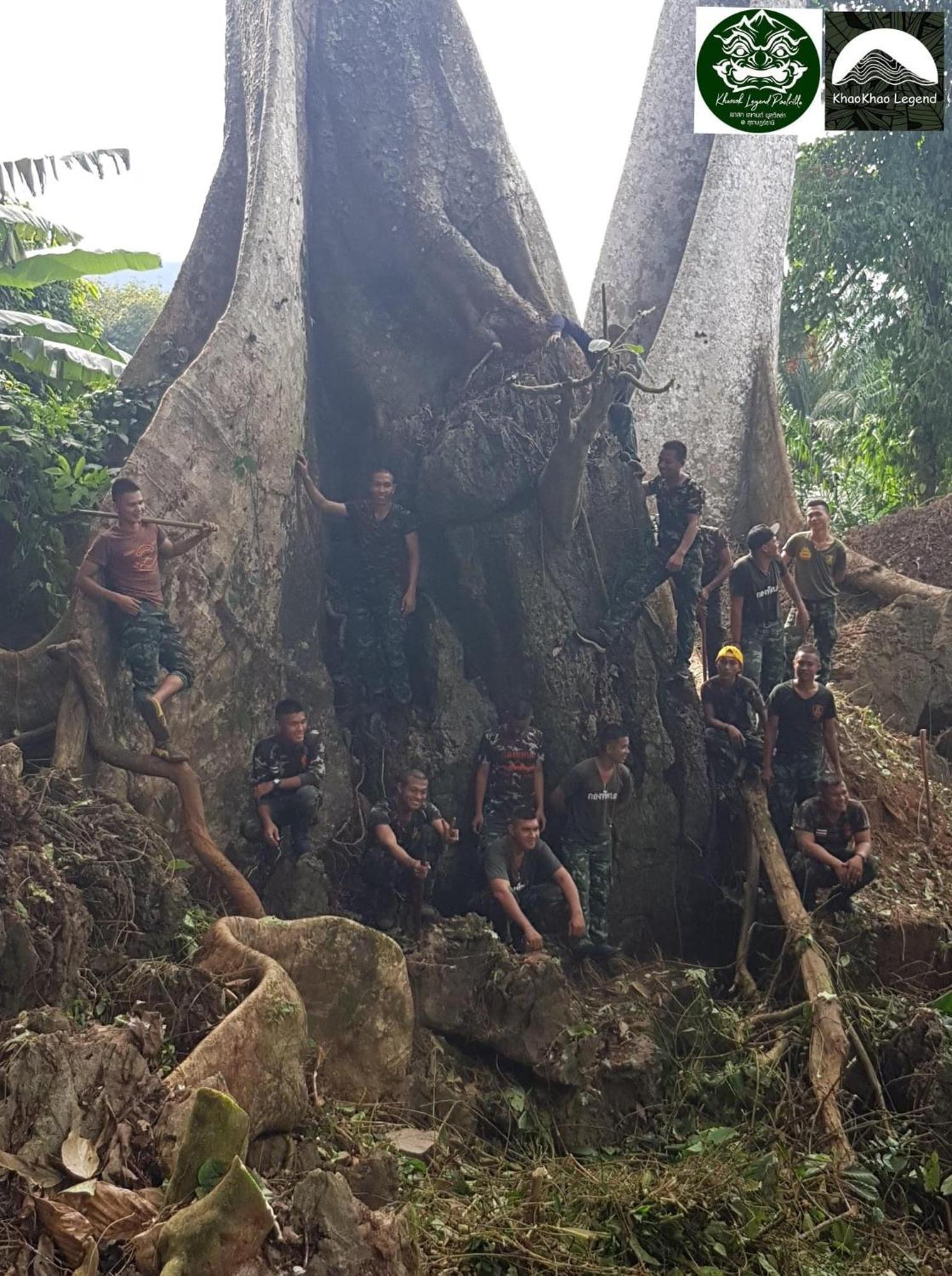 הוילה Khao Sok National Park Khaosok Legend מראה חיצוני תמונה